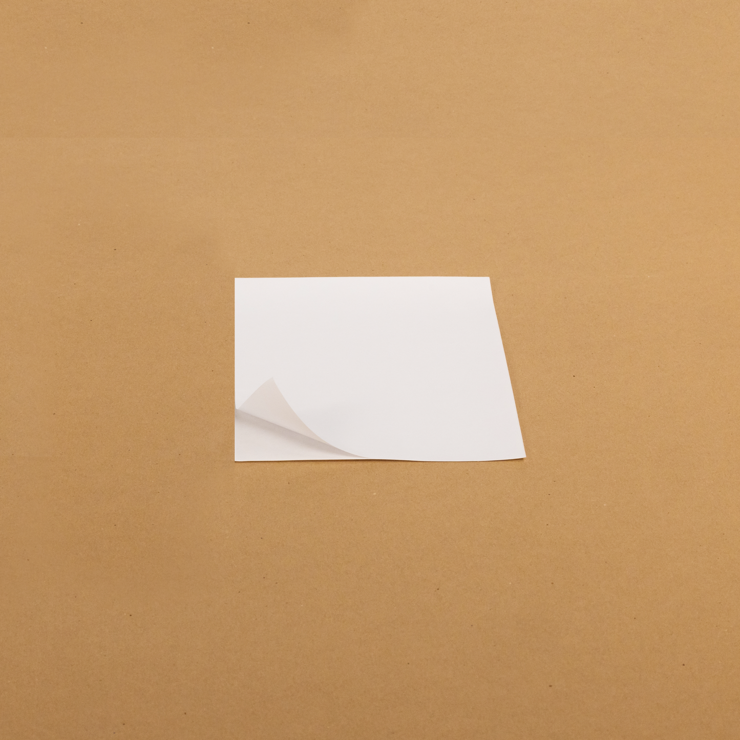 Versandlabel rückstandslos ablösbar und perfekt für Mehrweg Kartons, Versandtaschen und Papiertüten